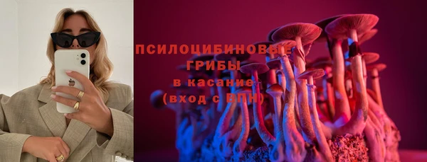 бошки Рославль